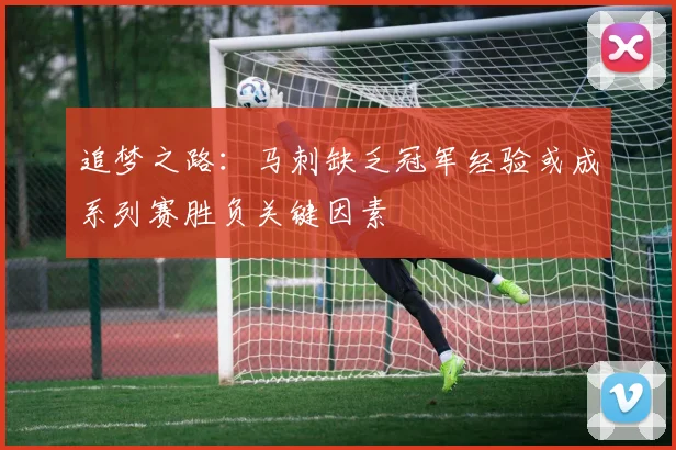 追梦之路：马刺缺乏冠军经验或成系列赛胜负关键因素